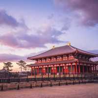 奈良に行ったら行きたいスポット 興福寺