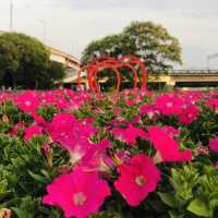 Guting Basketball Courts🚴🏻‍♂️🚴🏻‍♀️古亭河濱公園花海🌸🌼