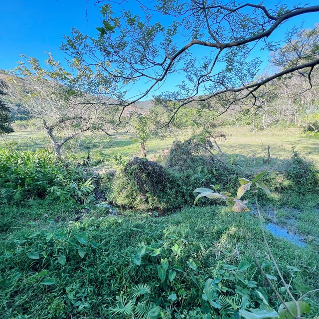 離島好去處 梅窩