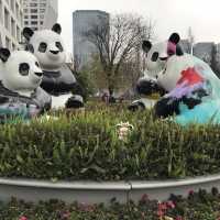 Motherland of Pandas - Chengdu 