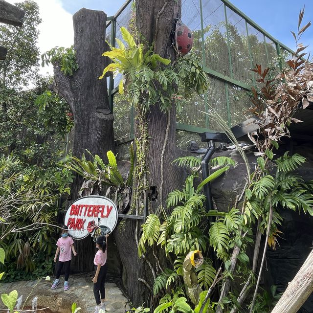 Butterflies in Sentosa 