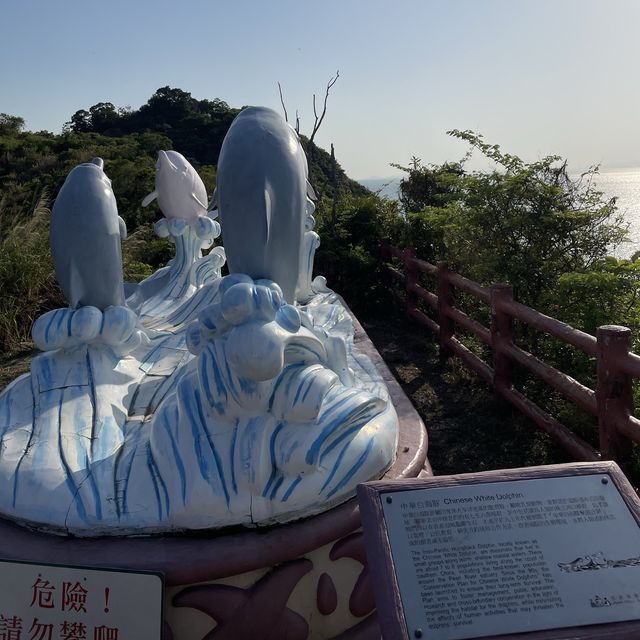 明知山有虎 偏向虎山行 送埋你海豚🐬 明知山有虎 偏向虎山行 送埋你海豚🐬