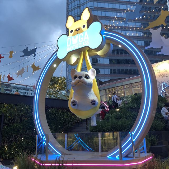 可愛狗狗🐶做瑜珈🤣 可愛狗狗🐶做瑜珈🤣