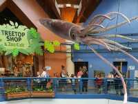 St. Louis Zoo (Treetop Shop)