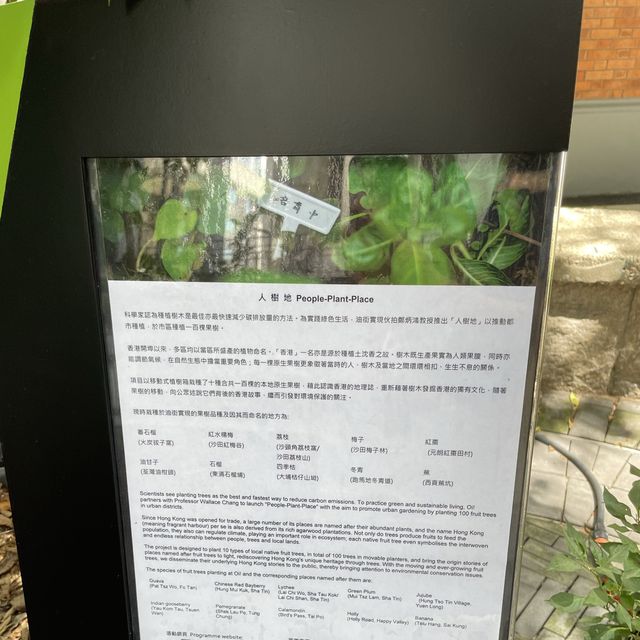 城市中的藝術綠洲