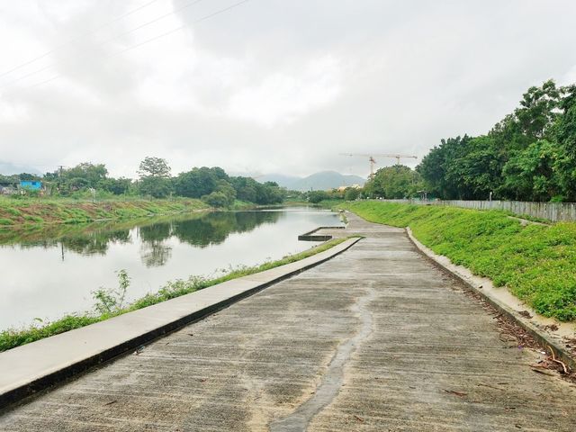 梧桐河