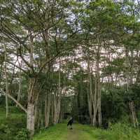 Hiking the rail corridor