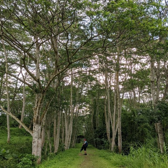 Hiking the rail corridor