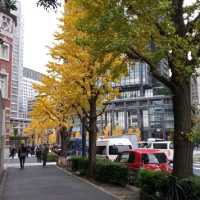 東京暢遊