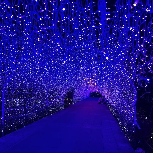 江の島　シーキャンドル🎆🕯