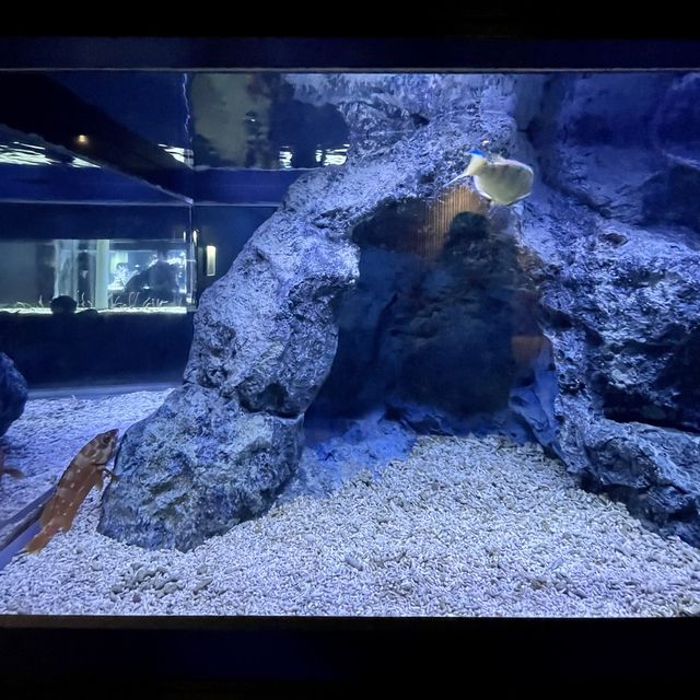 すみだ水族館