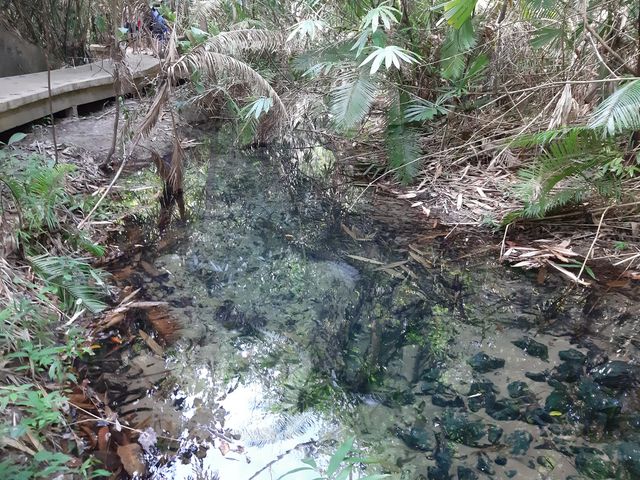 Hot Stream Krabi 