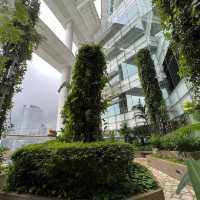 Enjoy the city view, books- national library 