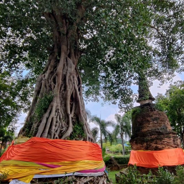 วัดหน้าพระเมรุ อยุธยา