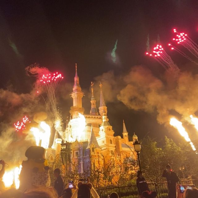 Magical Day in Shanghai Disney