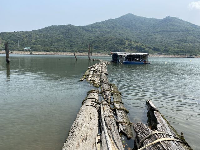 陰澳浮水木頭路