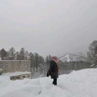 trip to snow areas In Japan within Aichiken 