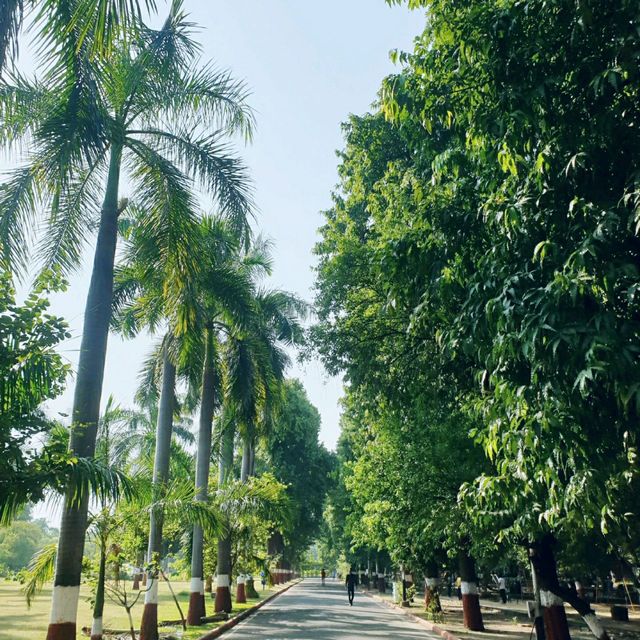 SAYAJI BOUG 