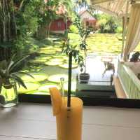 คาเฟ่ ที่มี ใบบัว สวยมาก 