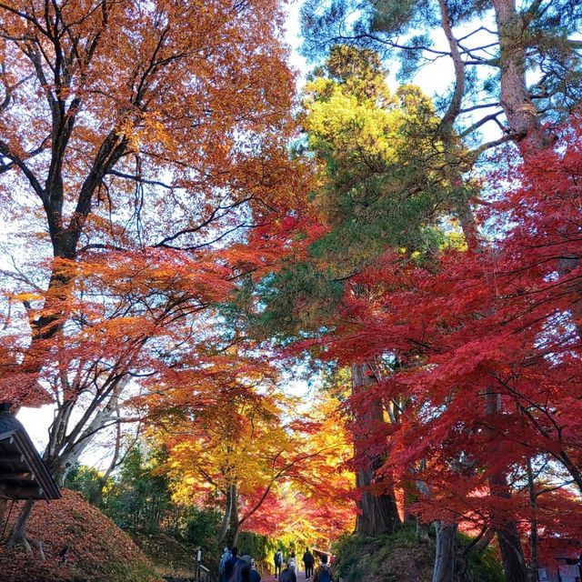 岩手県！紅葉と世界遺産【平泉】中尊寺金色堂