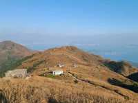 【秋冬賞芒系列~大東山🌾】
