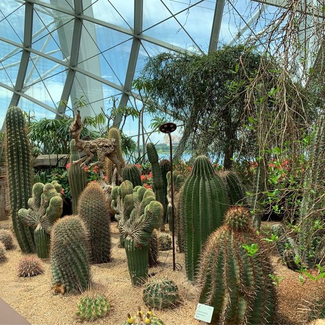 Garden by the Bay in Singapore 