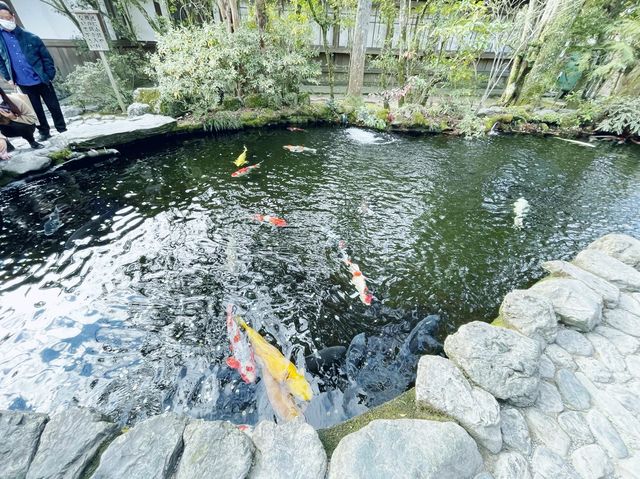 最高位の神社！伊勢神宮！