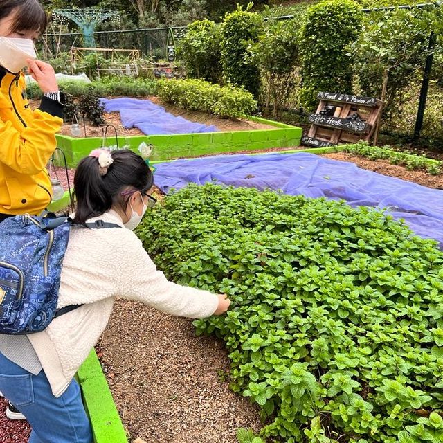 超捧的親子staycation