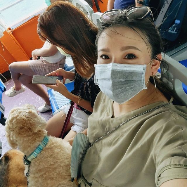 搭船入梅窩郊遊與毛孩