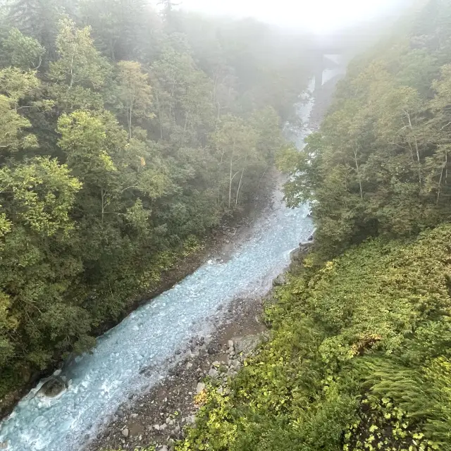 北海道　美瑛町　白ひげの滝