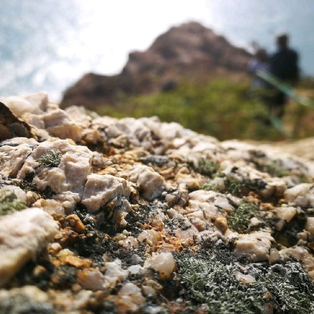 香港南極｜蒲台島 Po Toi Island