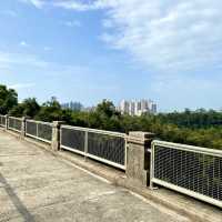 [香港仔水塘］✅老少咸宜 市區郊外美景👍
