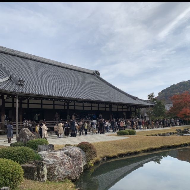 京都[紅葉めぐり] 絶景の天龍寺