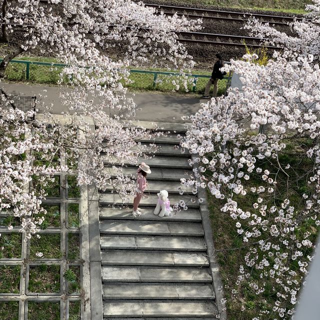 旅行