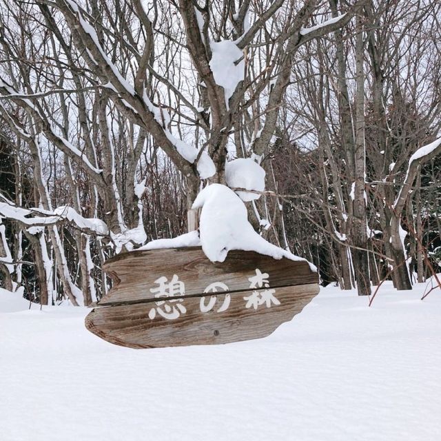 利尻島　森林公園の看板