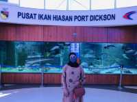; Pusat Ikan Hiasan PD.🐟