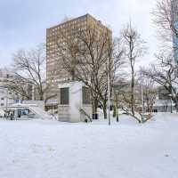 さっぽろテレビ塔前のツリー