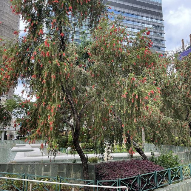 遮打花園