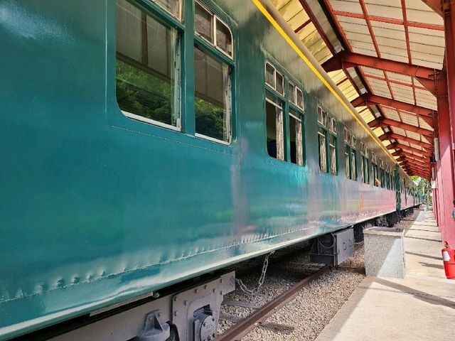 大埔文化遊🚂