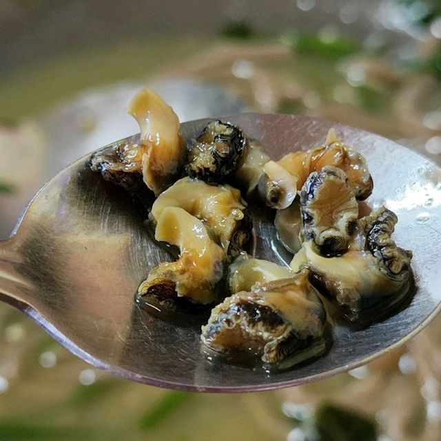 🍜 우도에서 맛보는 보말칼국수, 해광식당
