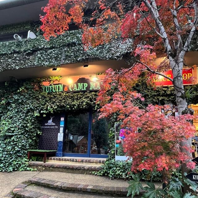 由布院貓頭鷹之森😎😎