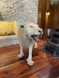 Cowboy museum in Chokchai Farm