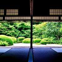 【京都】名庭園と光と影