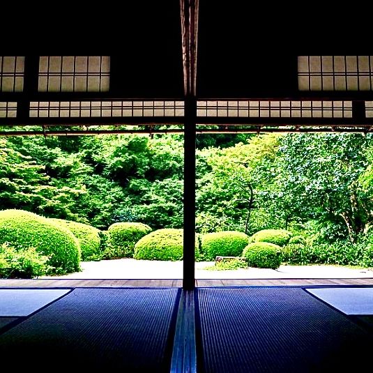 【京都】名庭園と光と影