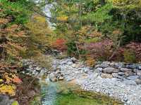 赤沢森林鉄道