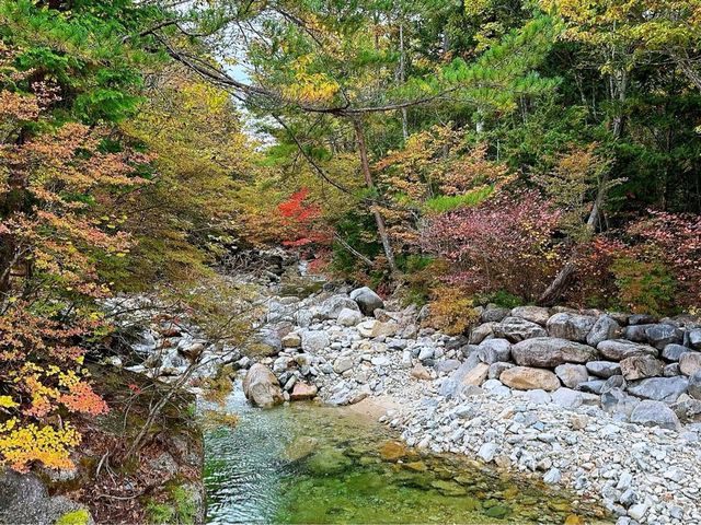 赤沢森林鉄道
