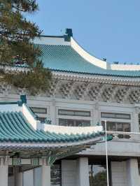 74년만에 국민에게 오픈된 청와대