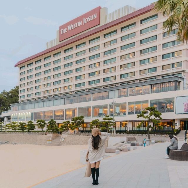 🌅일출부터 야경까지 아름다운 오션뷰를 만날 수 있는 [부산, 웨스틴조선🌃