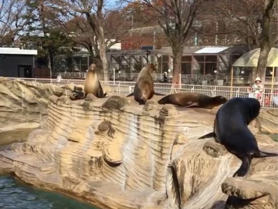 日本超大動植物園😍