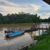 Stay near to forest, Eat near to River